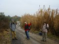 DSC01389
