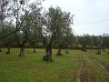 DSC01399