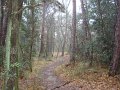 DSC01401
