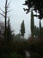 DSC01404