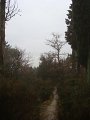 DSC01407