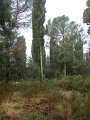 DSC01408
