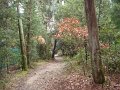DSC01413