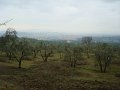 DSC01415