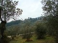 DSC01427