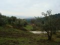 DSC01431