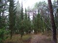 DSC01449