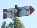 DSCN8120