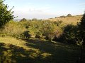 DSCN8144