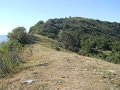 DSCN8146