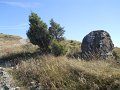 DSCN8168