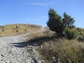 DSCN8169