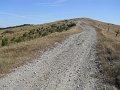 DSCN8170