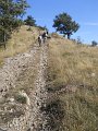 DSCN8182