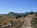 DSCN8185