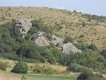 DSCN8206