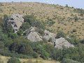 DSCN8210