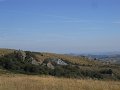 DSCN8212