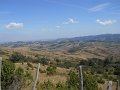 DSCN8223