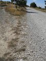 DSCN8228