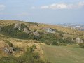 DSCN8272