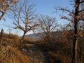 DSCN0677