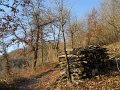DSCN0681