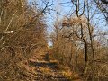 DSCN0682