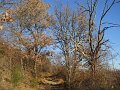DSCN0686