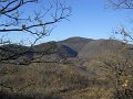 DSCN0729