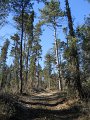 DSCN0736
