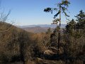 DSCN0737