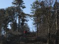 DSCN0738
