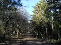 DSCN0751