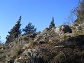 DSCN0767