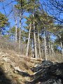 DSCN0768