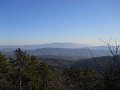 DSCN0769