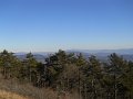 DSCN0770