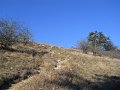 DSCN0771