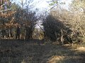 DSCN0782