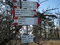 DSCN0795