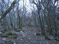 DSCN0801
