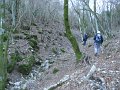 DSCN0817