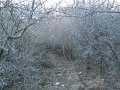 DSCN0828