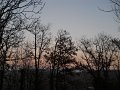 DSCN0834