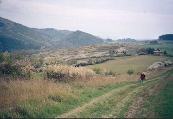 In cammino verso il Monte Pratone, lasciando a sinistra il Poggio Calvanella(Fi).