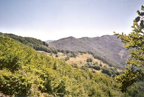 Scorcio montano, zona interna appenninica del Mugello -B.go S.Lorenzo.