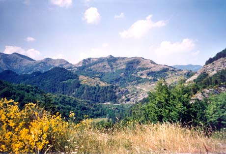 Paesaggio vicino a Crespino del Lamone.