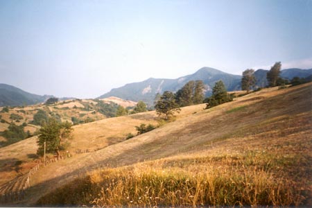 Nei pressi di Casaglia,sullo sfondo il Monte La Faggeta.