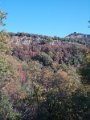 DSCN8817